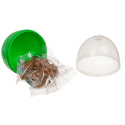 Bausteine Dinosaurier, Verpackung