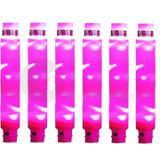 Leuchthuepfroehre, Pink